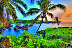 Jak zwiedzić Hawaje i nie zbankrutować? Mamy kilka sposobów ...