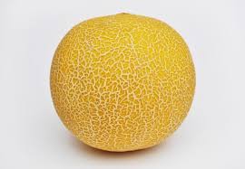 Melon - porady | ArtKulinaria