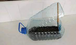 Mini-greenhouse for seedlings from plastic 5 liter bottle