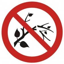 Sklep: zakaz niszczenia lub uszkadzania drzew i innych roślin